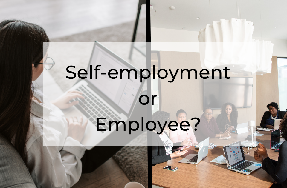 self-employment or employee